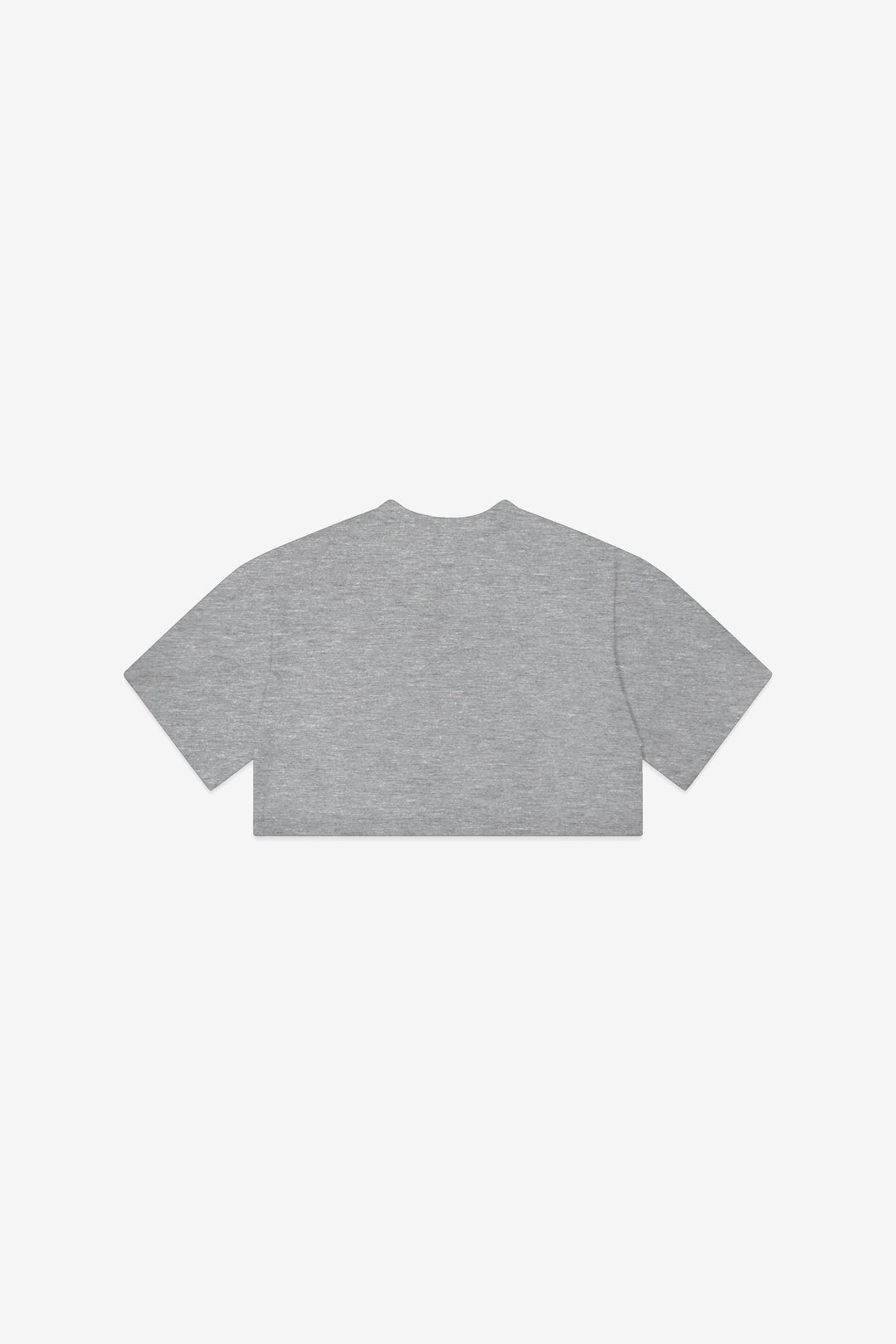 G2 ESSENTIALS - Cropped Tshirt - Glacier Gray